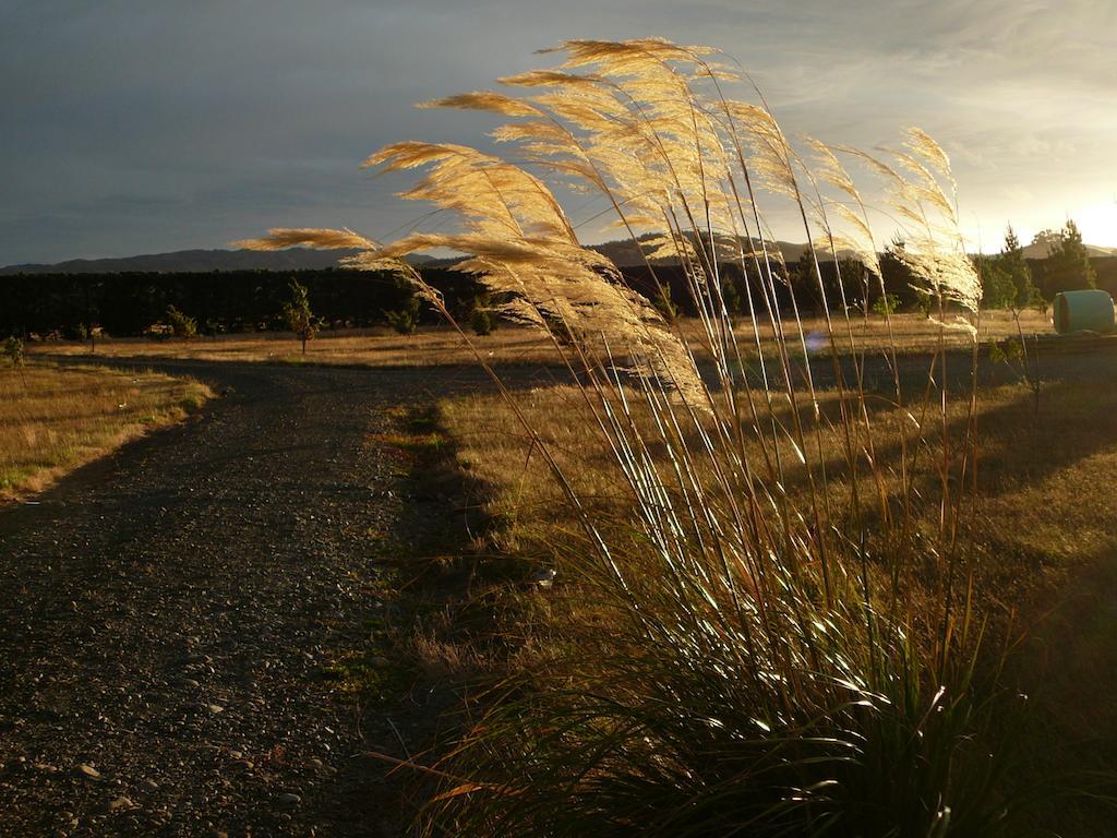Bentleys Country Stay Hawarden ภายนอก รูปภาพ